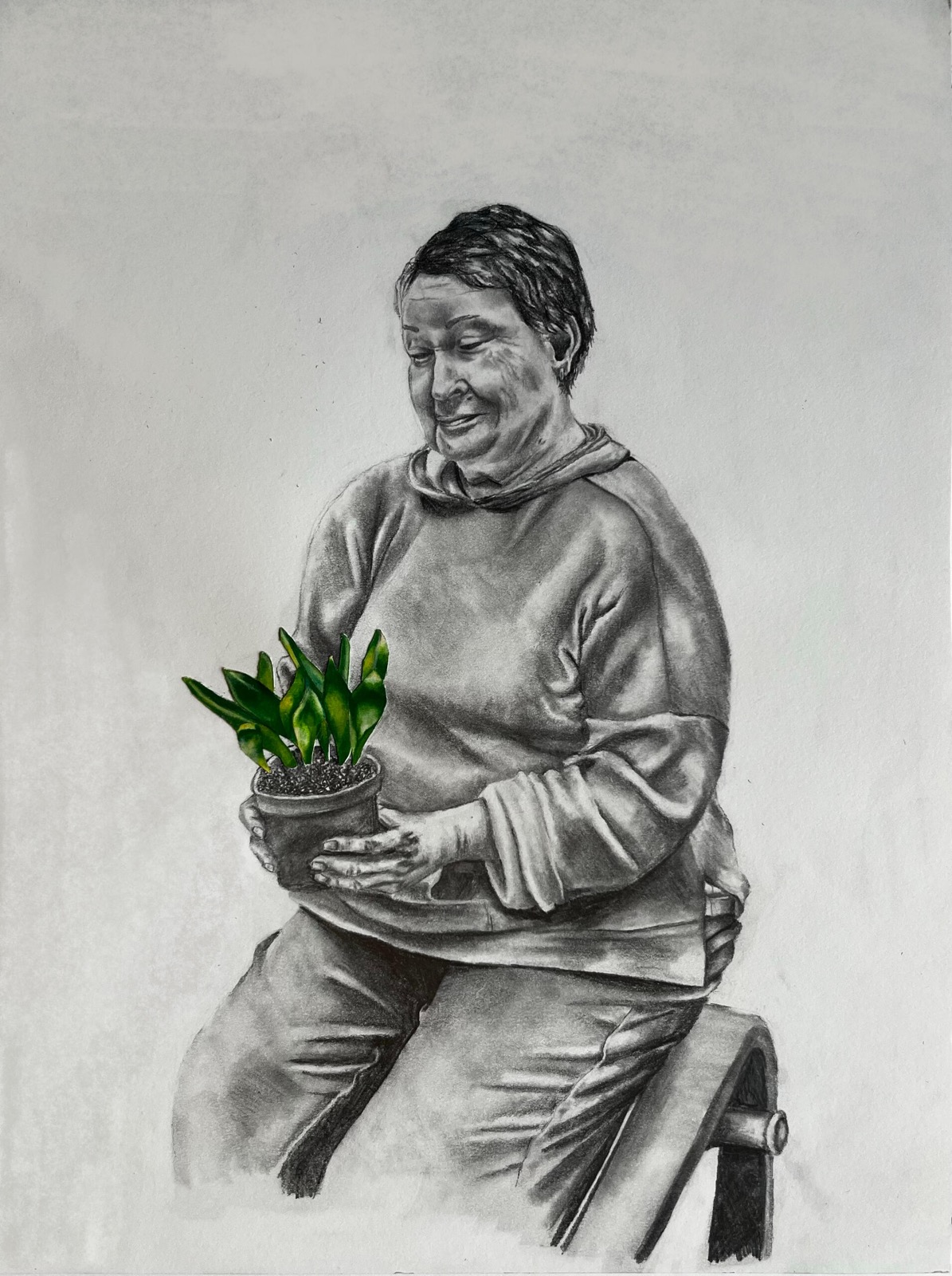 For the Next Generation, drawing of an elderly figure holding a potted plant