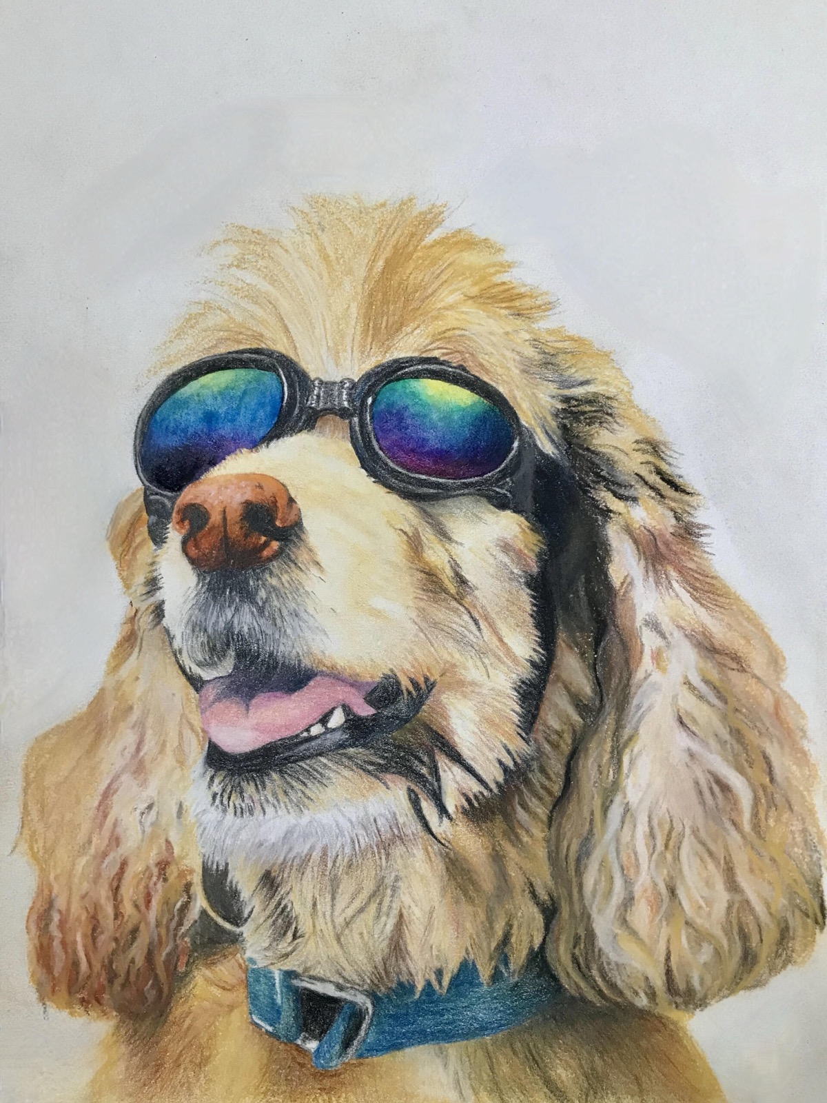 Untitled, colored pencil and chalk pastel drawing of a dog wearing goggles
